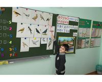 Чтоб сделать нам для птиц "Бунгало", их нужно изучить сначала. конкурс рисунков посвященный М.В. Ломоносову